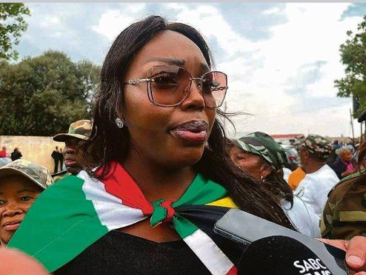 Zimbabwe-Ndebele speaking Zandile stop Criminal Operation Dudula!